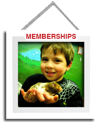 Art Farm NYC Part Time Pet Owner